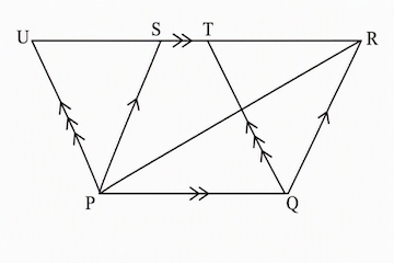 Figure for question 11